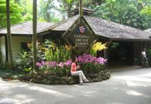 Ботанический сад сингапура и национальный сад орхидей Сад орхидей в сингапуре как добраться