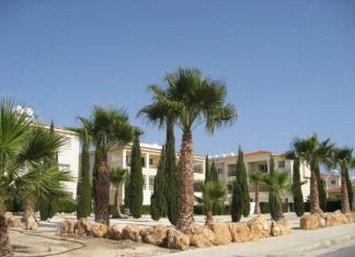 Где лучше отдыхать на Кипре в июле